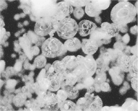 VXo[